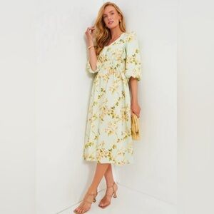 Tuckernuck Mint Floral Midi Dress